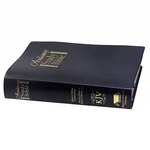 custom bible black book