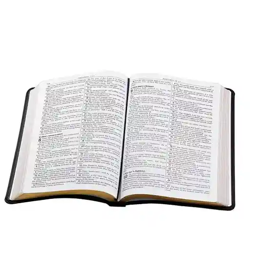 wholesale bible