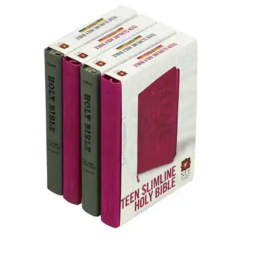 Holy Bible Study Book