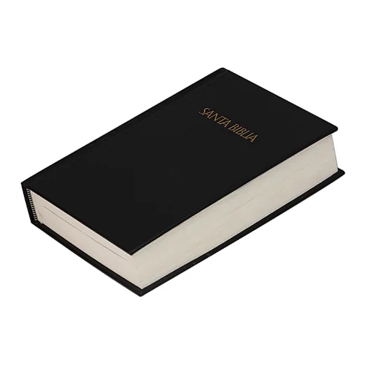 king james of the holy bible
