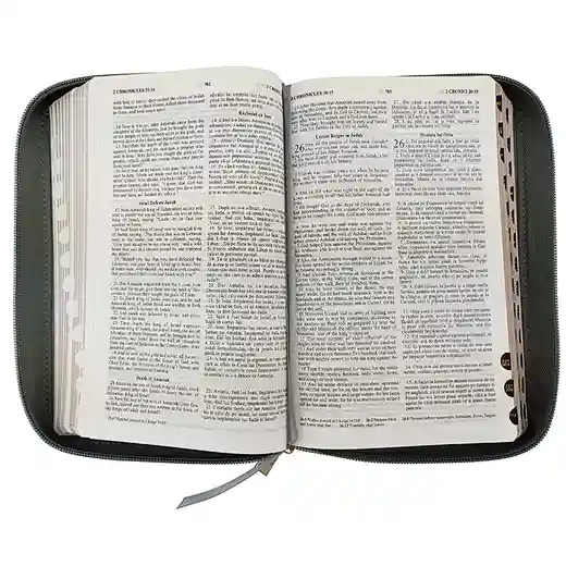 The Bible the Holy Bible company