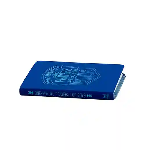 oem the holy bible paperback