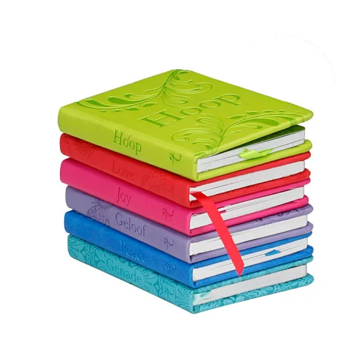 Childrens Holy Bible