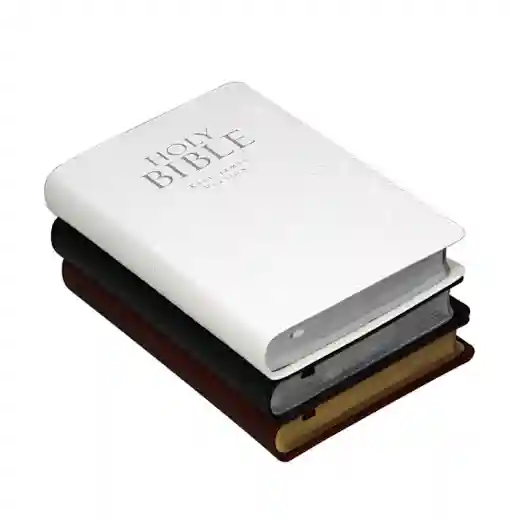  king james bible in leather