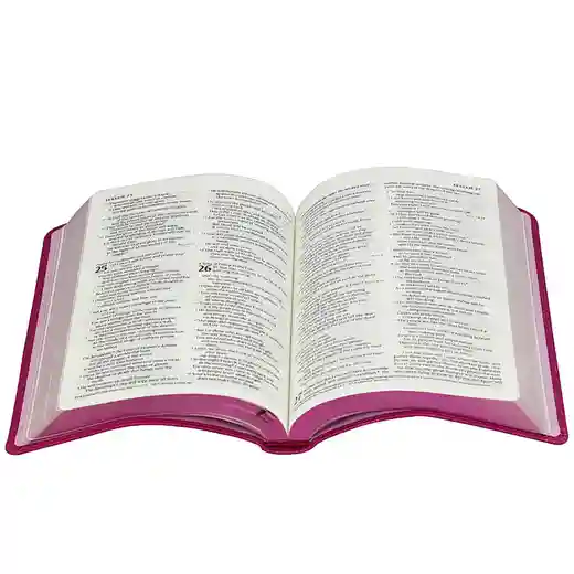 The New Kjv Bible