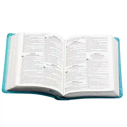  Printing Book Cheap Holy Bible