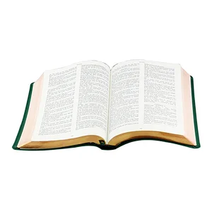 Custom High Quality Classic Hardcover the Holy Bible in English Printing Service