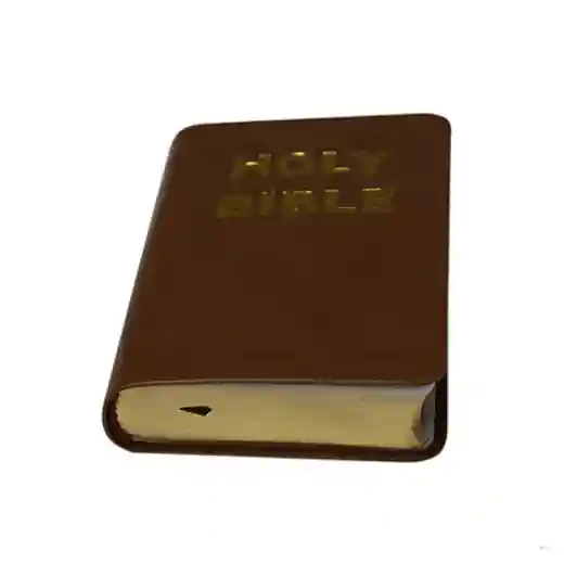  kjv bibles