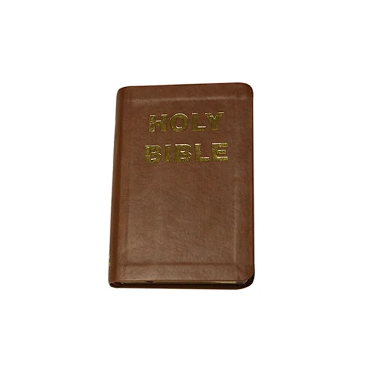 kjv bibles