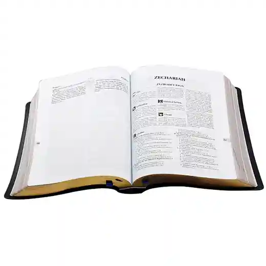 bulk bible black book