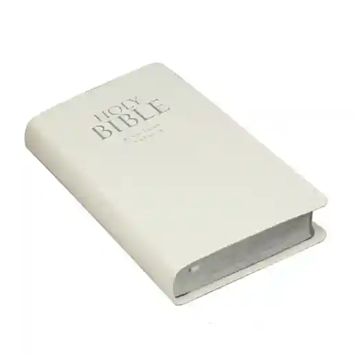 leather bible cover;King James version bible;Leather cover bible printing