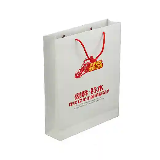 kraft paper bag with logo