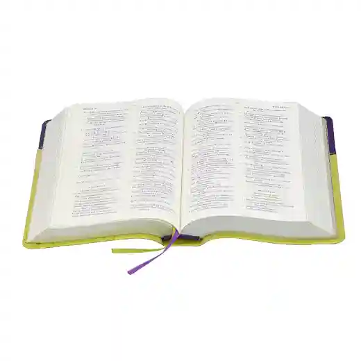 bible book