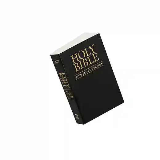 Mini Bible Kjv
