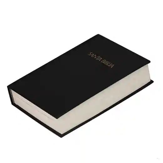 bulk black holy bible book of james