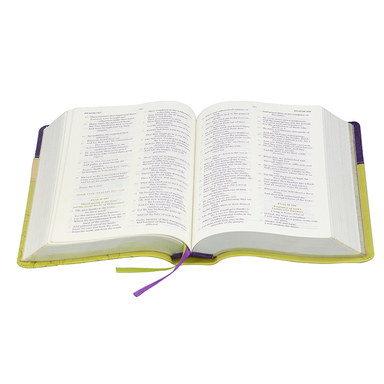 cheap oem The Holy Bible James