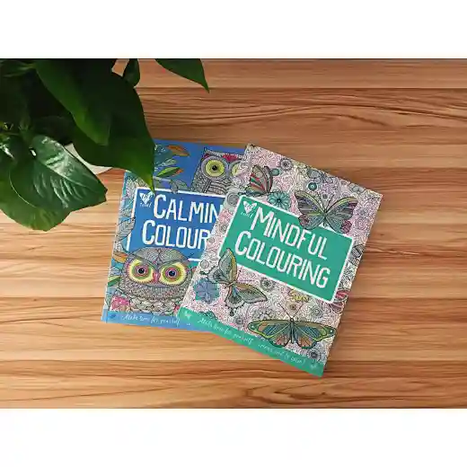 drawing for adults with colour 