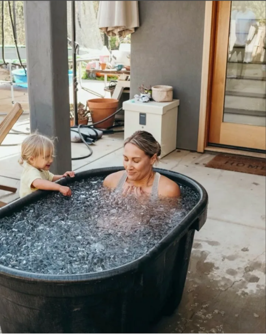 water chiller for cold plunge