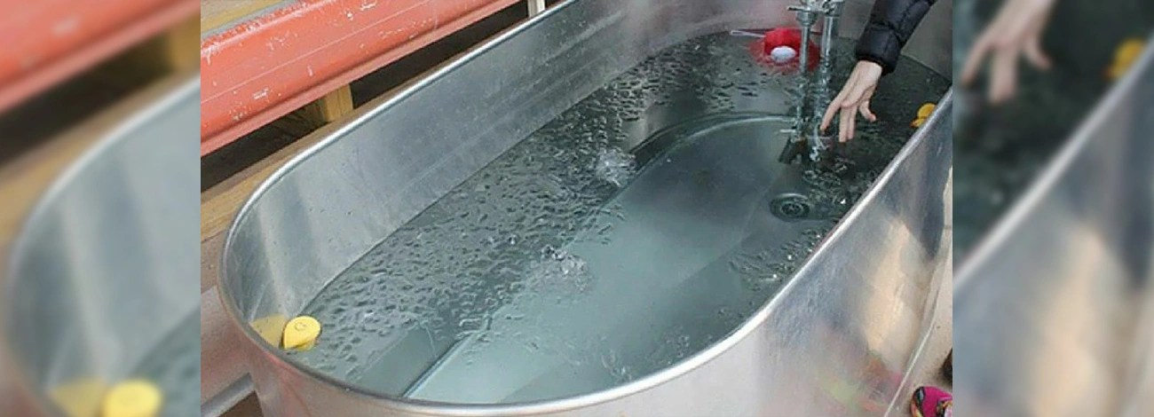 "The Cold Water Cure: Can a Dip in Icy Water Improve Your Health?"