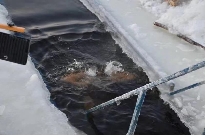 how often can i take an ice bath