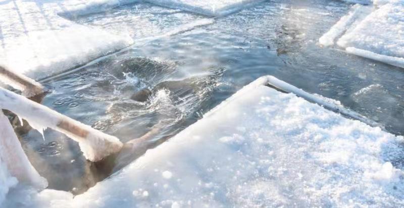 cold plunge vs ice bath