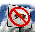 wasps control