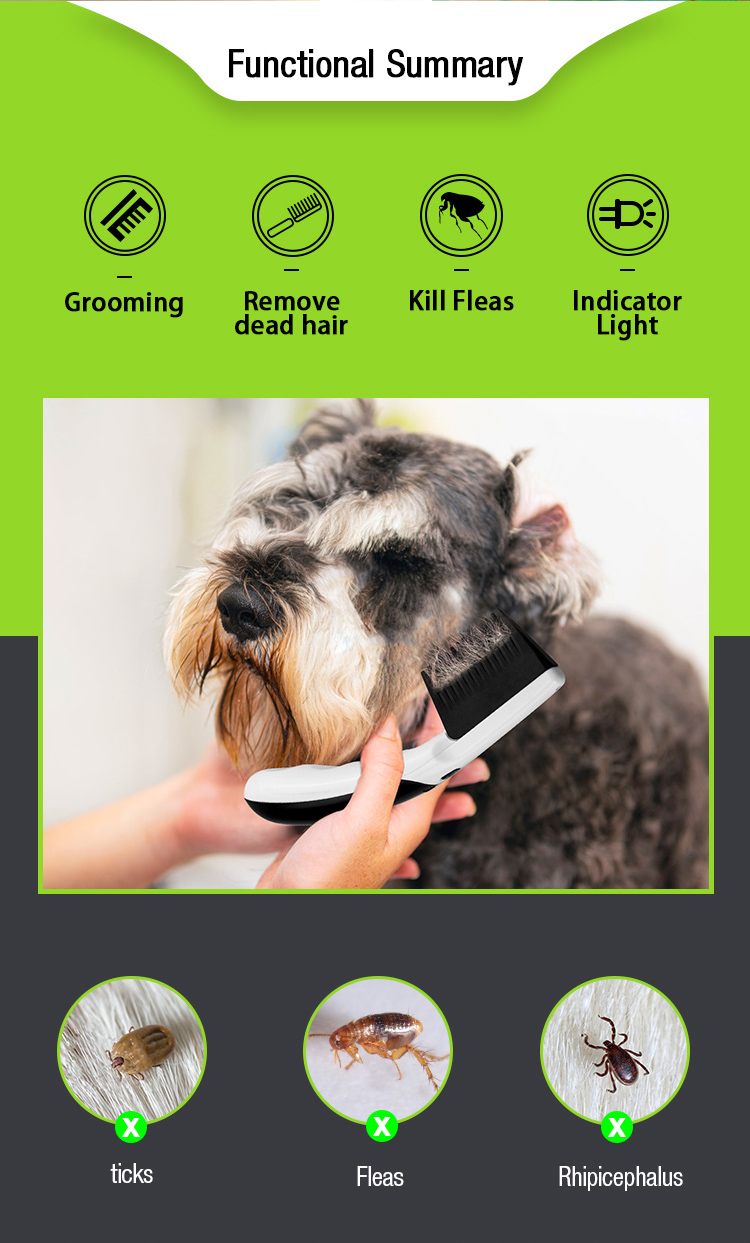 electric flea comb manuafacturer