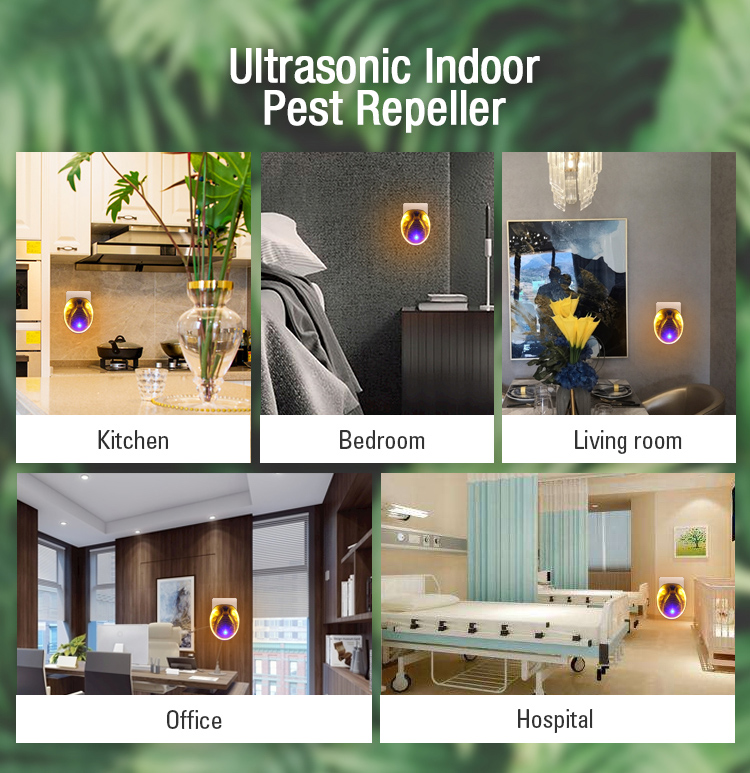 Ultrasonic electromagnetic spider repeller