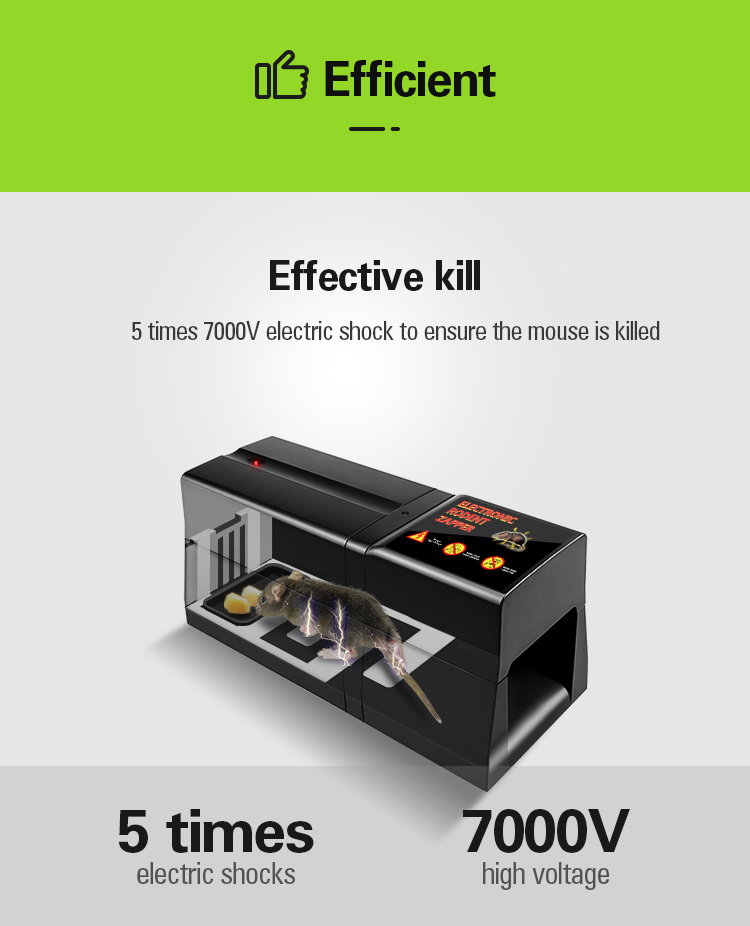 Rodent Killer