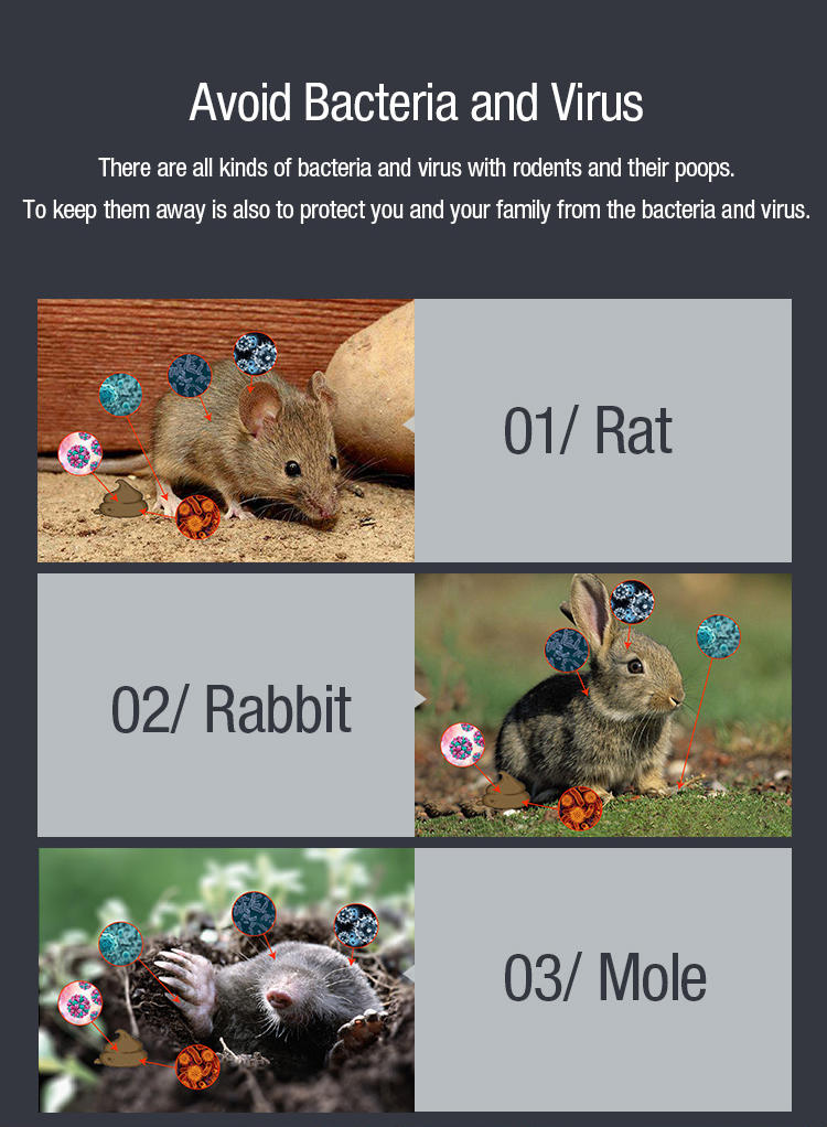 sonic mole repeller