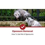 Opossum repeller