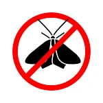 how to get rid of moths