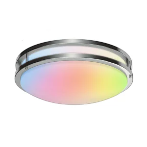 CEILING LIGHT
