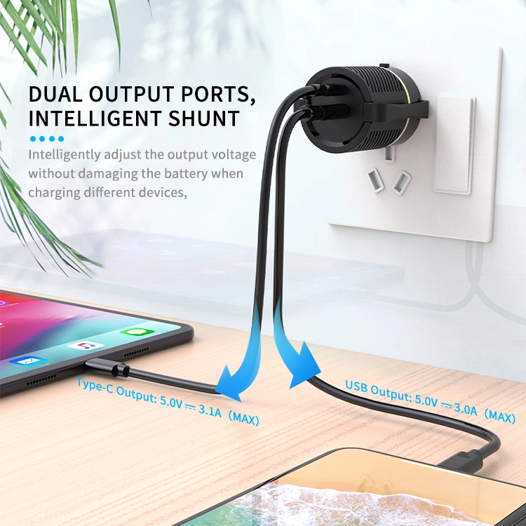dual port charger
