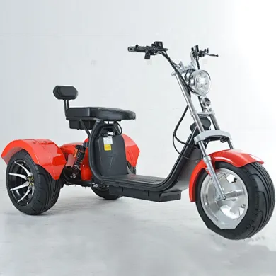 CP-3.1 three wheel Electric tricycle