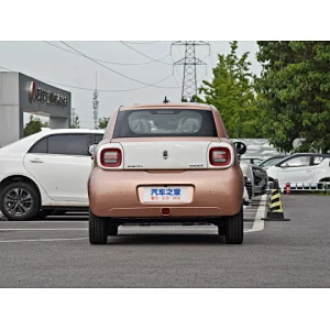 cheapest tesla,used car lots near me,hyundai dealership near me,euler,wenzhou euler,electric vehicle lincoln mkz,toyota camry 2021