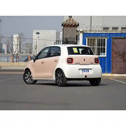 cheapest tesla,used car lots near me,hyundai dealership near me,euler,wenzhou euler,electric vehicle lincoln mkz,toyota camry 2021