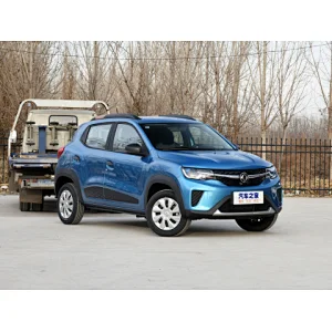 buy electric car,buy tesla model 3,electric car leasingdongfeng,dongfeng ex1,dongfeng aeolus ex1,electric utility vehicle,ev conversion,ev motor
