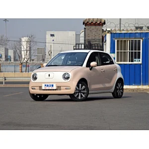 cheapest tesla,used car lots near me,hyundai dealership near me,euler,wenzhou euler,electric vehicle lincoln mkz,toyota camry 2021