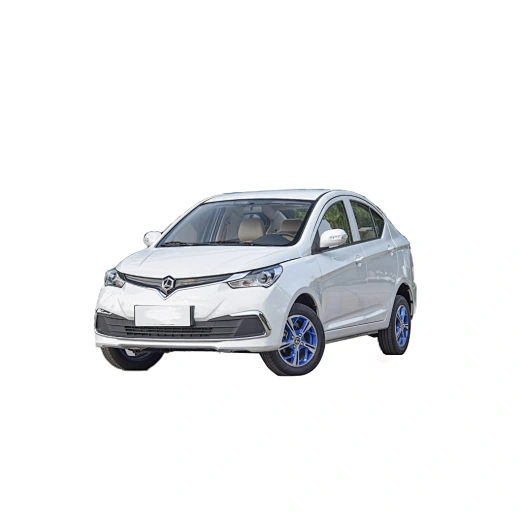 Ninecontinent holding group co., ltd, is devoted to electric car electric motor,electric motors for ten years, welcome contact us for more details