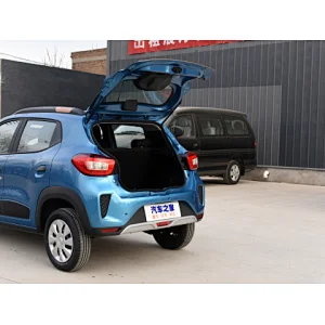 buy electric car,buy tesla model 3,electric car leasingdongfeng,dongfeng ex1,dongfeng aeolus ex1,electric utility vehicle,ev conversion,ev motor