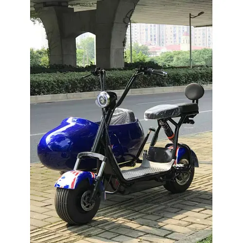 2021 Best Electric Scooter 60V 1500W tricycle electric tricycle,tricycle electric With 60V 12Ah/20Ah Lead Acid