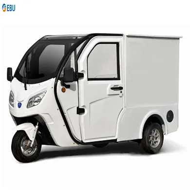 YY Electric tricycle VAN