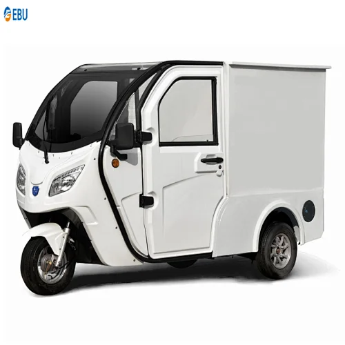 electric tricycle van