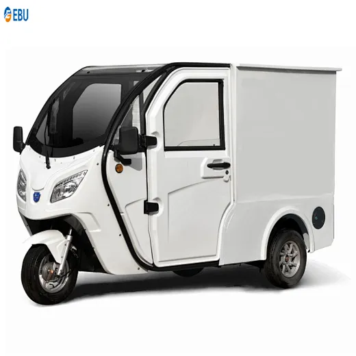 electric tricycle van