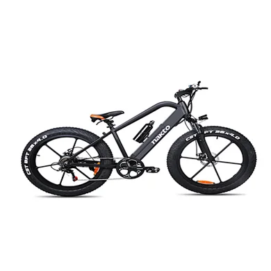Electric bicycle PNC000017