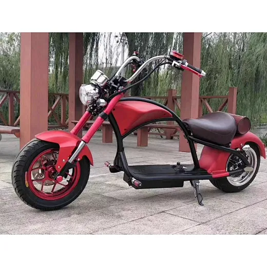 1001-2000W Citycoco Fat Tire 3 Wheel prince edward prince edward island canada,prince edward island Electric Scooter For Adult Electric Tricycle