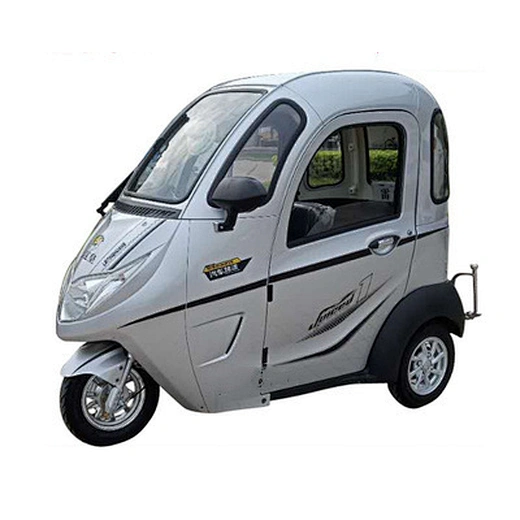 Popular for Europe Electric Closed Tricycle for Adult mini motorized electric tricycle，adult electric tricycle Three Wheel for Germany