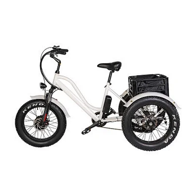 Three-wheeled electric bicycle
