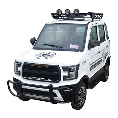 electric car